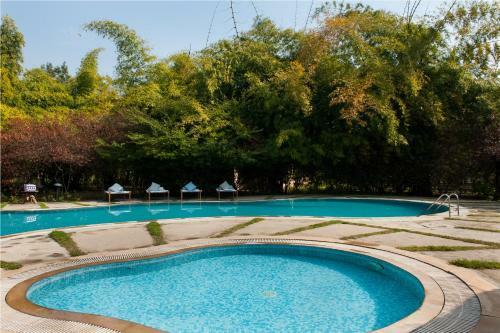 Hotel Jim's Jungle Retreat