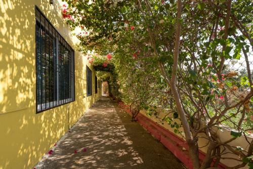 Hotel Casa Mar�a Resort