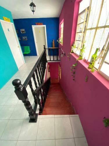 Apartamento Pootsada Campos, Habitacion Wilo