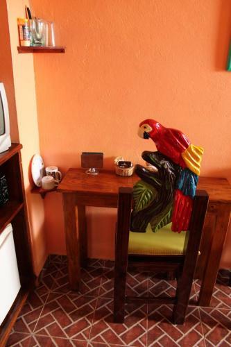 Hostal Cancun Guest House 1
