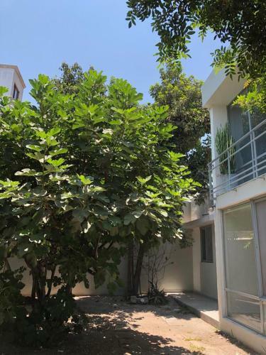 Hostal Loft Alameda