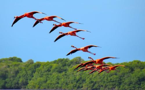 Breathtaking Beach Villa, Feel The Inviting Vibe!