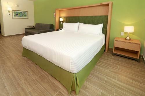 Holiday Inn - Chilpancingo, An Ihg Hotel