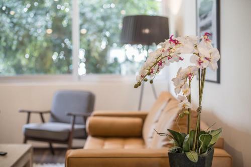 Apartamento Live Polanco