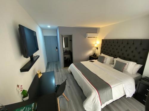 Hotel Suites Arboleda 215