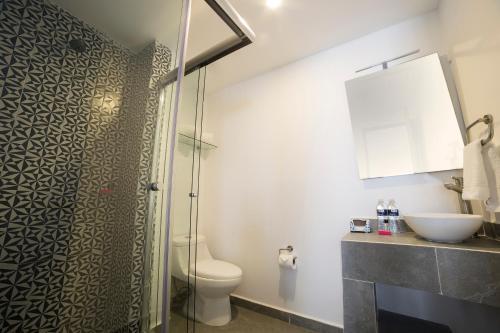 Hotel Suites Arboleda 215