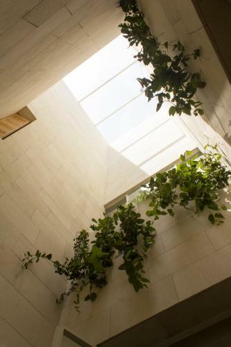 Hotel C�rculo Mexicano
