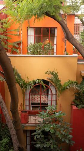 Bed & Breakfast The Red Tree House