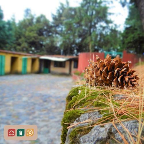 Lodge Rancho El Para�so Ajusco