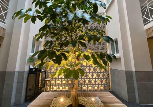 Hotel Mx Z�calo