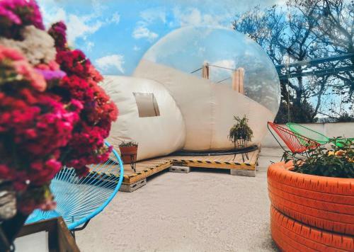 Glamping Amate - Hotel Burbuja Tlaxcala