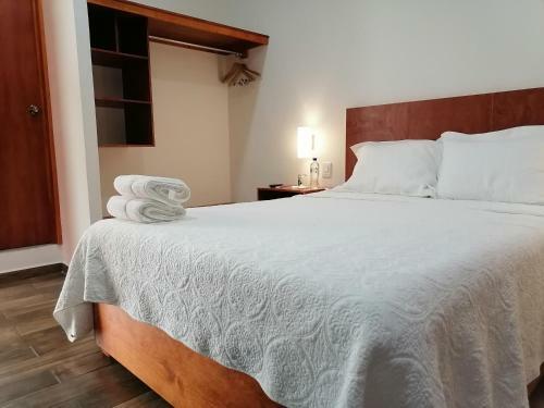 Hotel Anthurium
