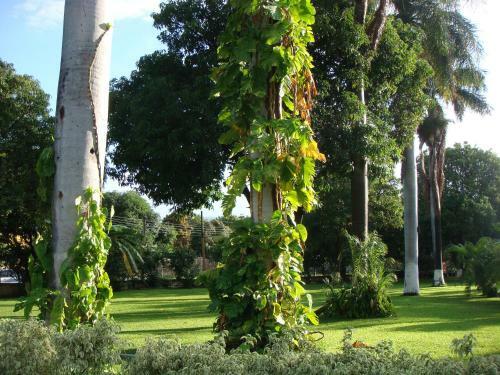 Hotel Club Primavera