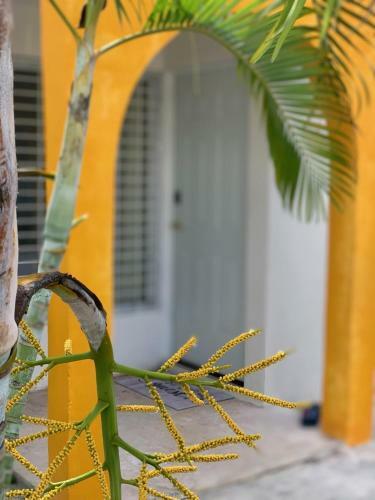 ?casa Puerta Del Sol?cozy Two Bedroom Wifi Ac&tv
