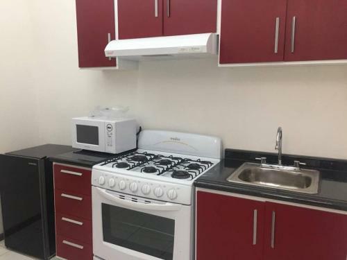 Apartamento Suite Dangar En El Coraz�n Del Centro de Morelia