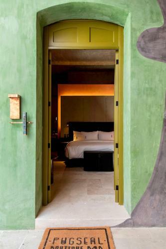 Hotel Pug Seal Oaxaca