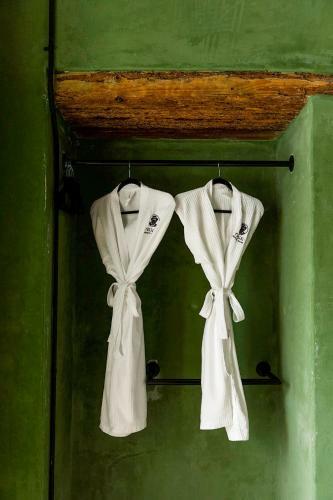 Hotel Pug Seal Oaxaca