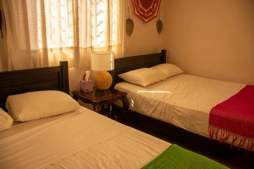 Hostal Chocolate