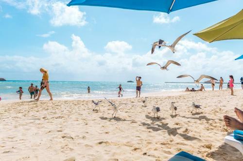 Playa Maya By Mij - Beachfront Hotel