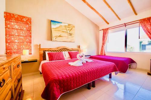 Hostal Executive Budget Room With Swimming Pool Air Conditioning And Parking