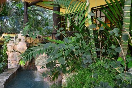 Unique Mexican Villa! Plunge Pool, Ocean Views