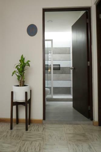 Albergue The Dear