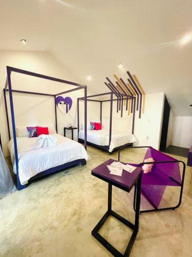 Suculenta B&B Boutique