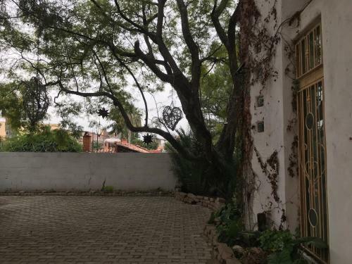 Casa �rbol Hotel