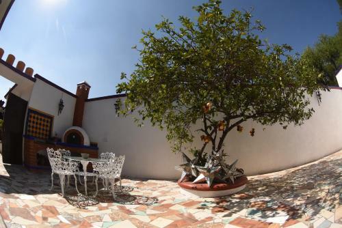Hostal Hotel Casa Limon