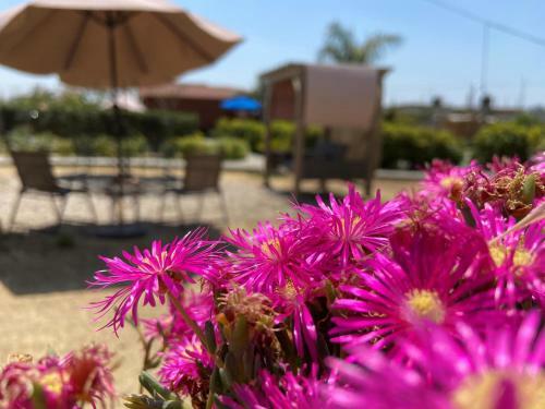 Villarreal Lodge Hotel Ecol�gico