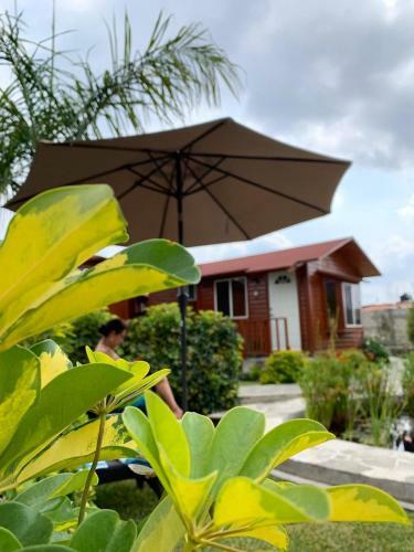 Villarreal Lodge Hotel Ecol�gico