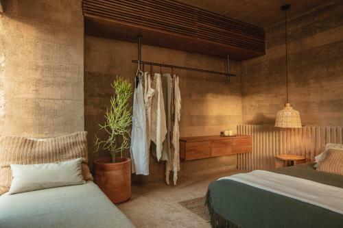 Hotel Paradero Todos Santos - Experience Inclusive