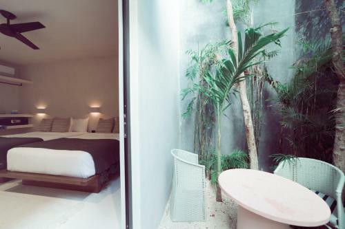 Hotel Downtown Tulum