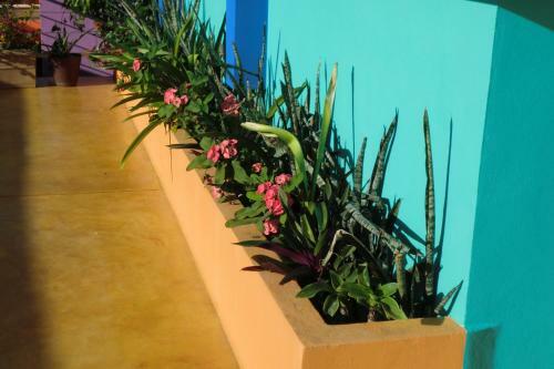 Hotel Arcoiris Tulum
