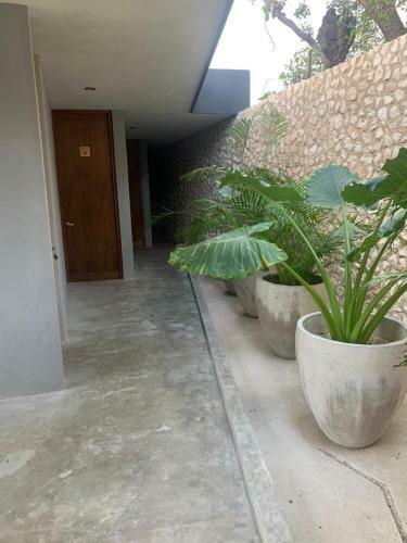 Arich� Tulum Hotel & Hostal