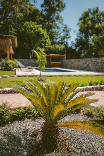 Apartamento Solez Zihuatanejo