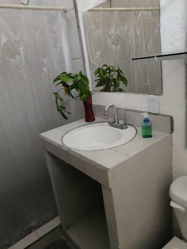 Apartamento Sotelo Casa de Playa