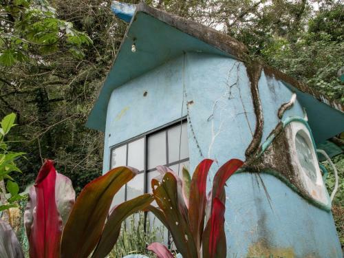 Casa Caracol Xilitla