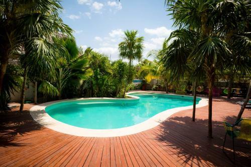 Hotel Tropical Suites By Mij
