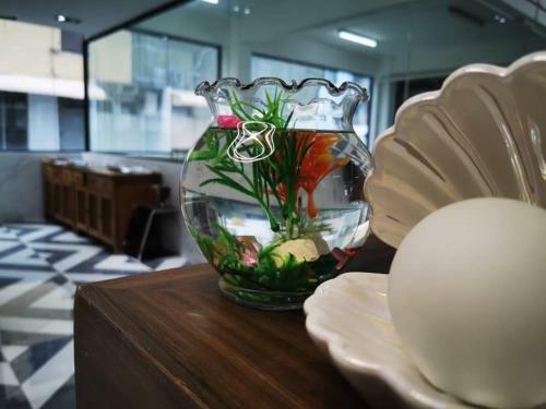 Hotel Shell Out Beach Club Suite