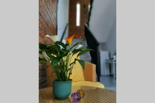 Mary's Residence Ipoh