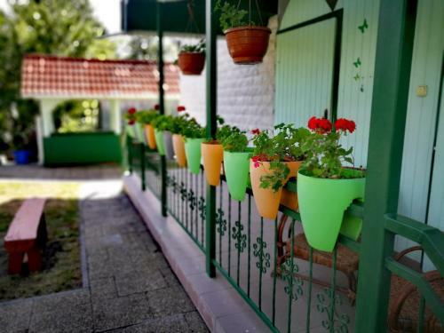 Hostal Gy�ngyvir�g H�z