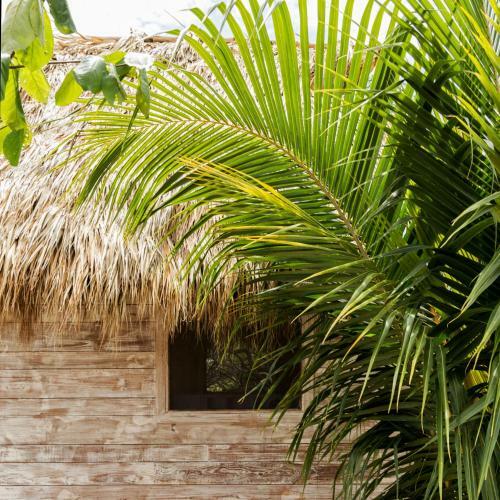 Suyo Caba�as Popoyo | Hotel Suyo