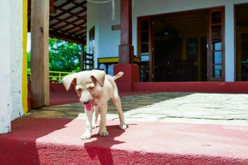Hostal Casa Ruth