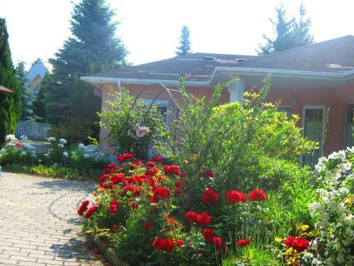 F�szek Apartmanh�z
