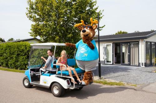 Hotel Wh Comfort 4 Personen