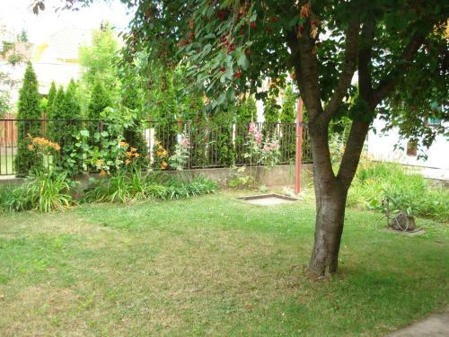R�zsa Apartment