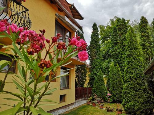 Bed & Breakfast J�lia Panzi�
