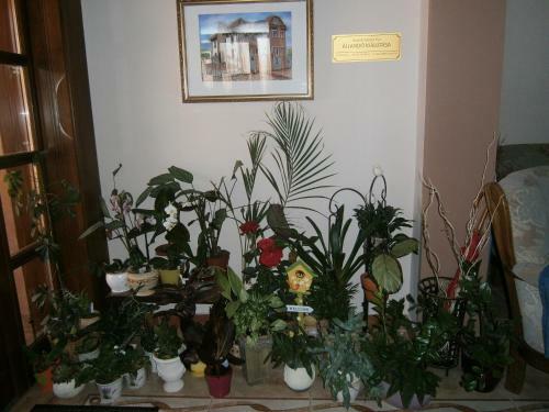 Magdal�na Hotel