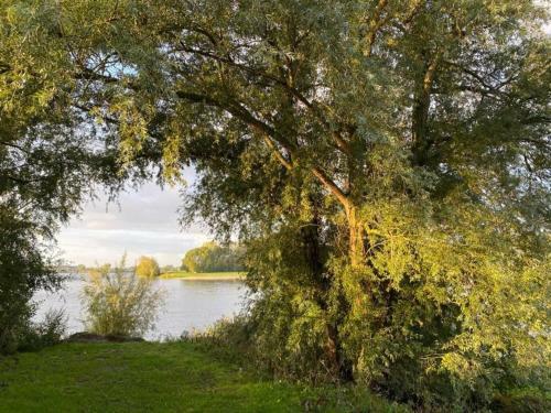 Fantastic Watervilla In Kerkdriel Direct At Lakebeach